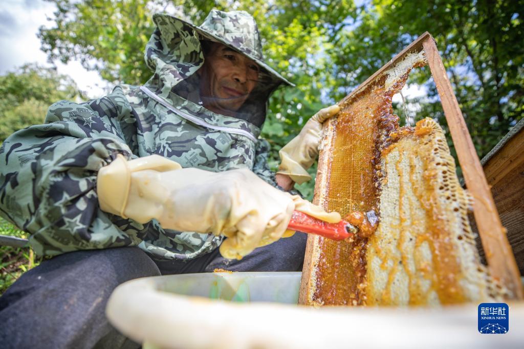 棋牌大放水